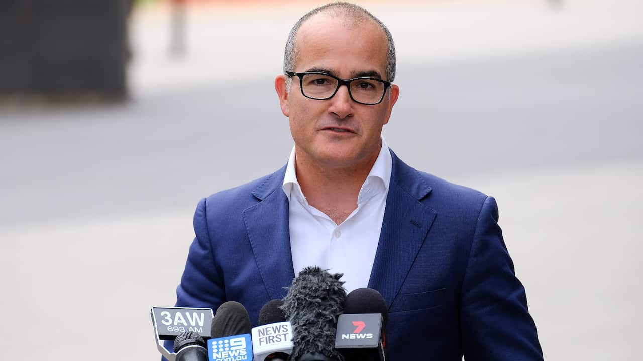 Acting Victorian Premier James Merlino. 