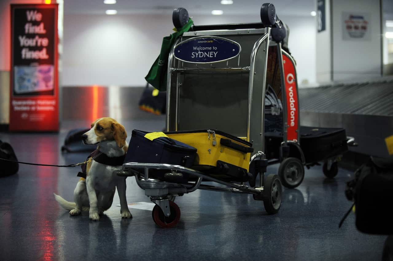  NACA Feature, biosecurity, national security,