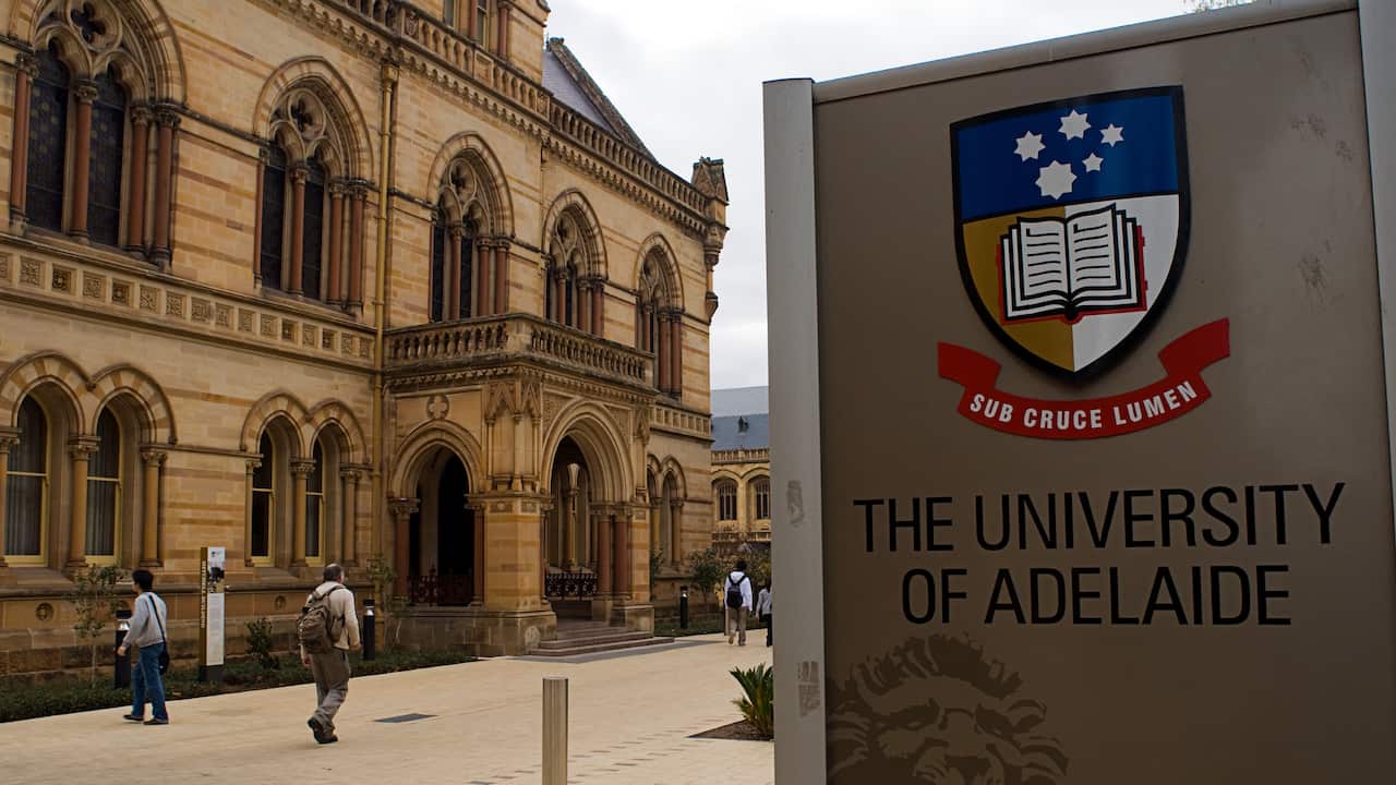 The University of Adelaide, Adelaide, South Australia, SA, Australia.