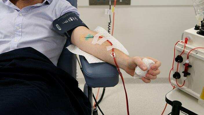 World Blood Donor Day 