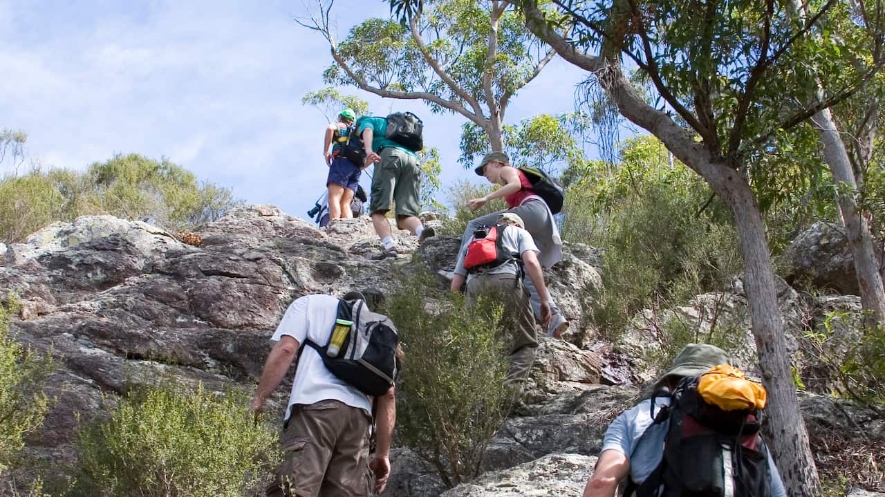 Group climbing hill as part of bushwalking