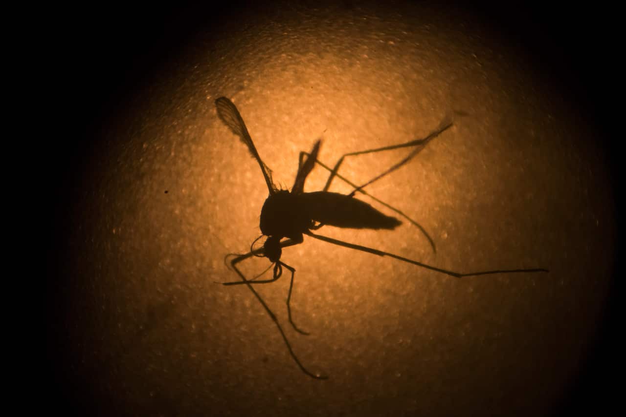 Dengue outbreak in Nepal 2019.