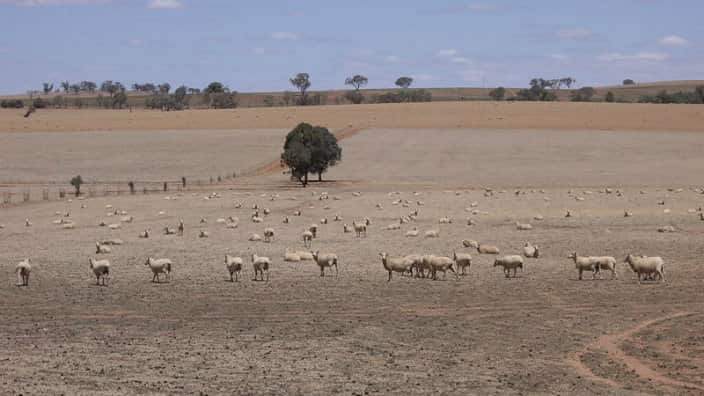 Drought affected areas