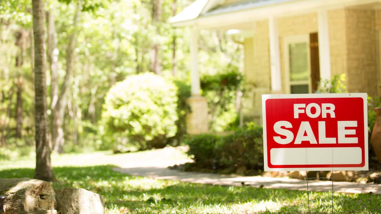 Property market during COVID-19