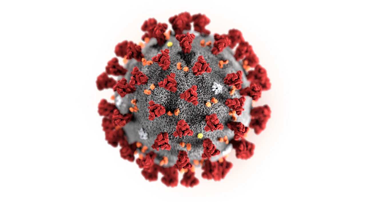 Coronavirus Covid19
