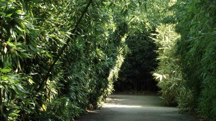 Labirinto della Masone