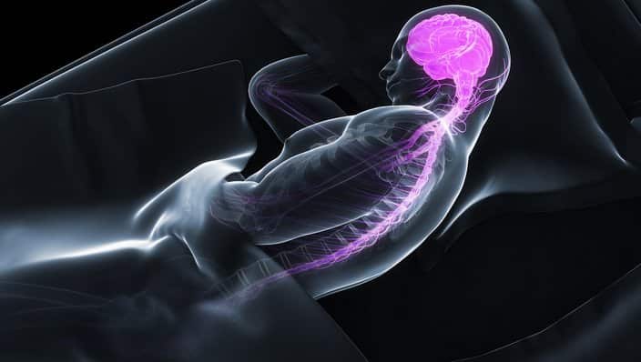 Brain awareness week