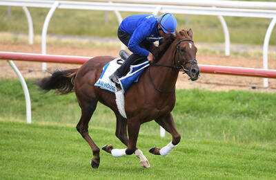 Melbourne Cup