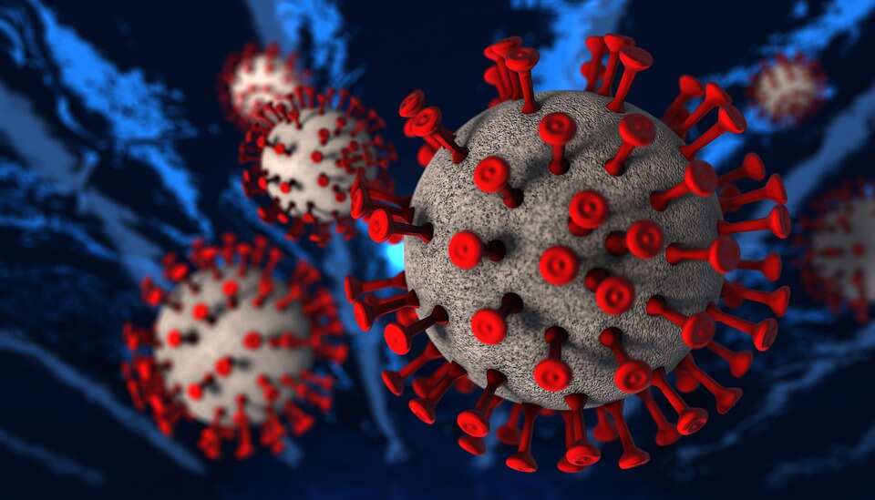 Virus Corona