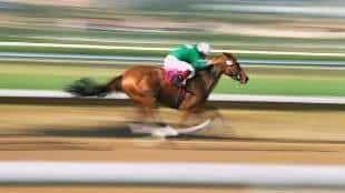 A great sport: Horse racing