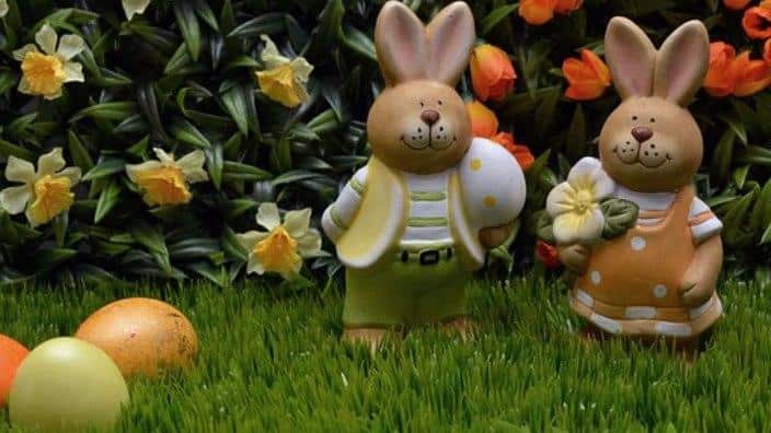 Easter Bunnies