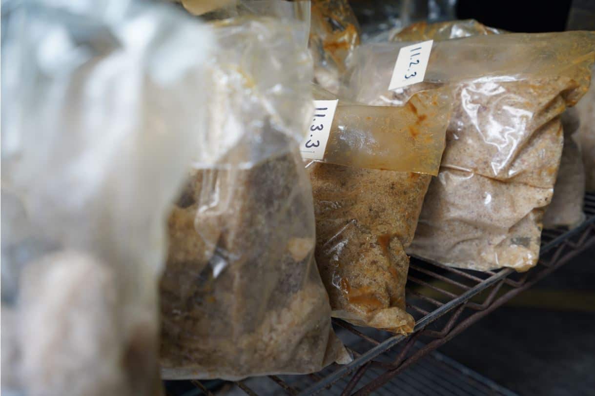 Queensland cops seize record-breaking drugs haul