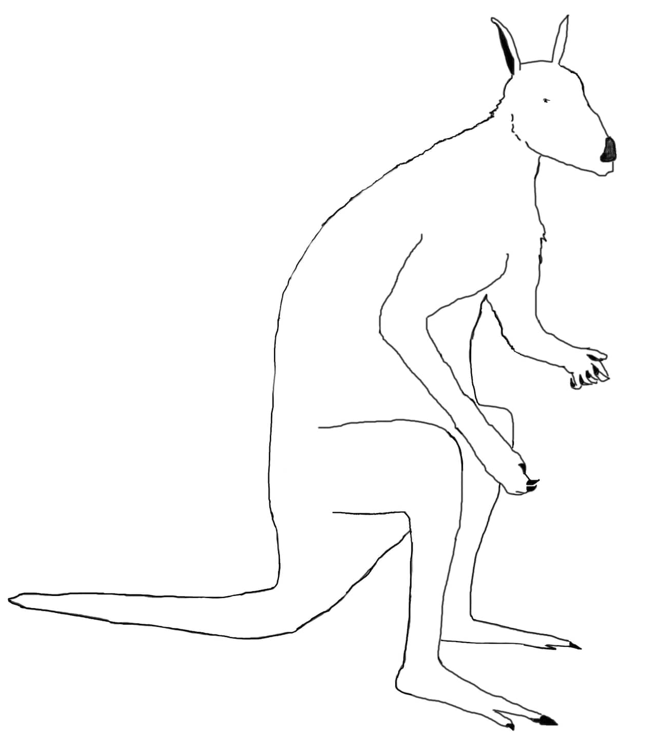 Protemnodon (wallaby gigante estinto) by Joseph Burgess