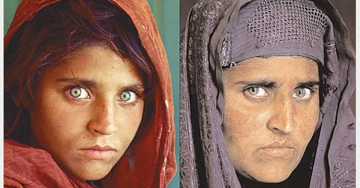 Sharbat Gula