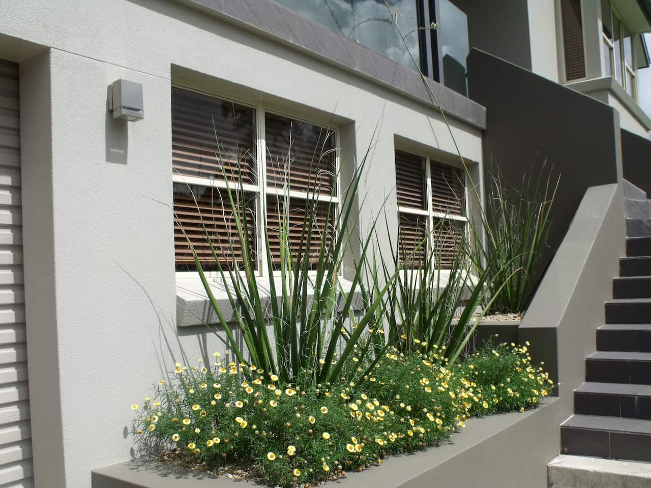 Designed by Sandhya Sunil