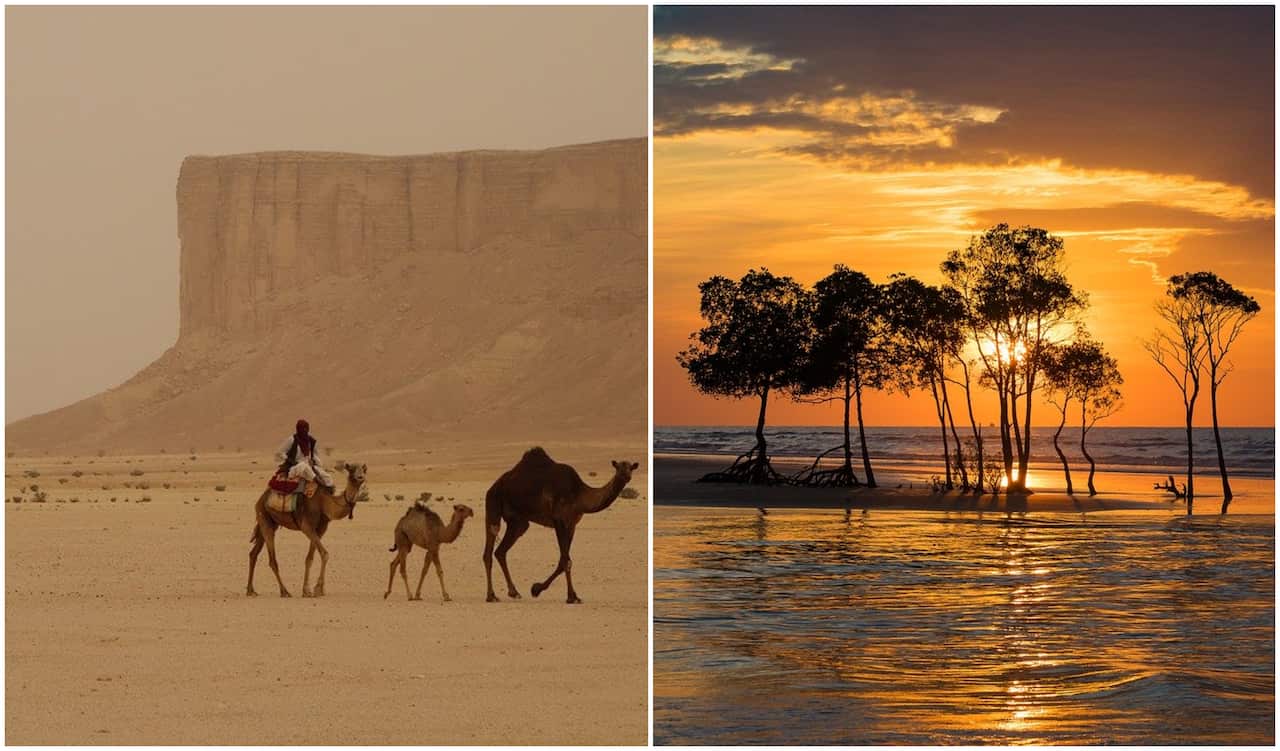 saudi to darwin