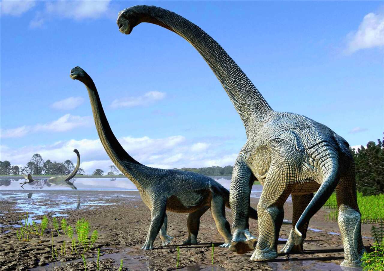 Savannasaurus Elliottorum