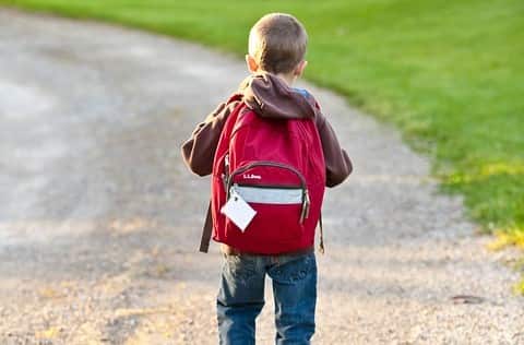 Indian bus driver brings lost child home