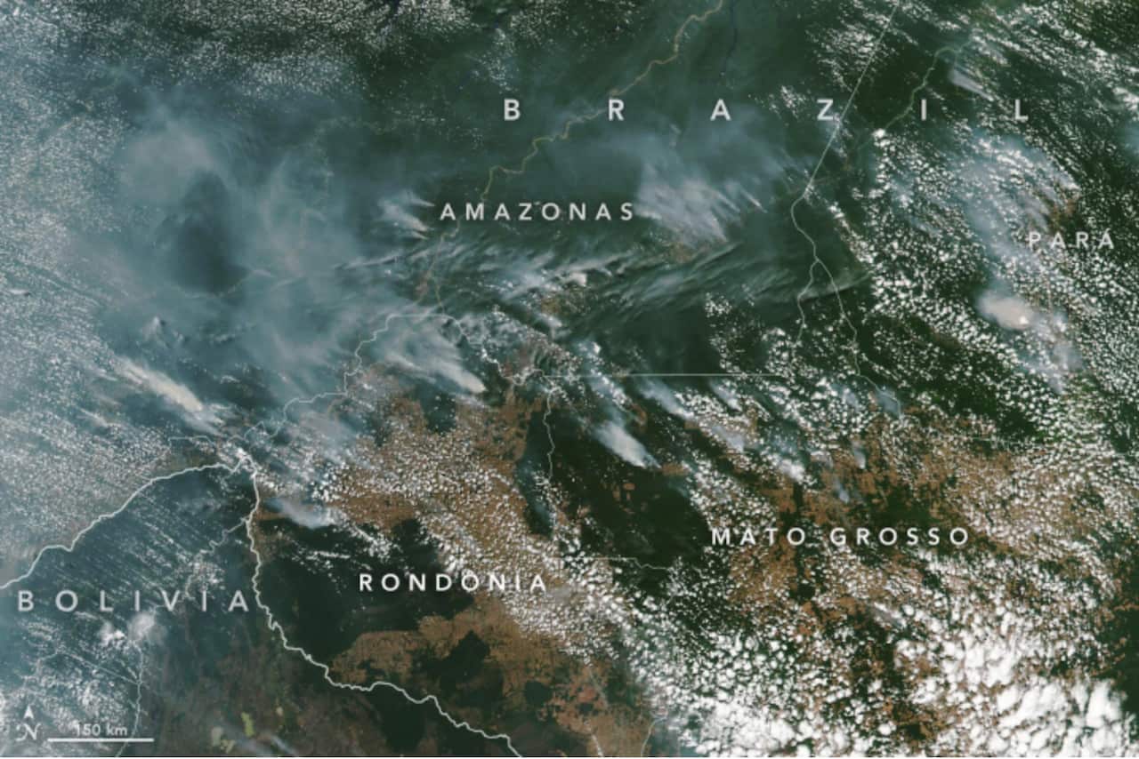 Questa immagine dell'Earth Observatory della NASA del 13 agosto mostra una miriade di incendi.