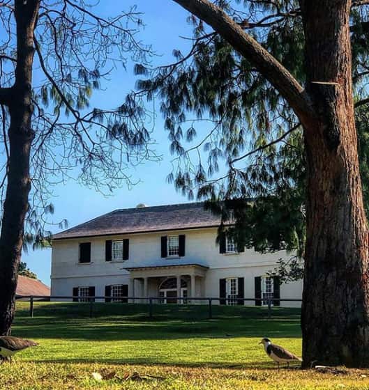 Old Government House