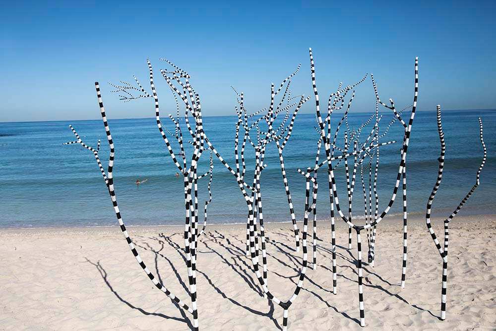 KevinDraper_Deadline_SxSCottesloe2018 Photo Martine Perret