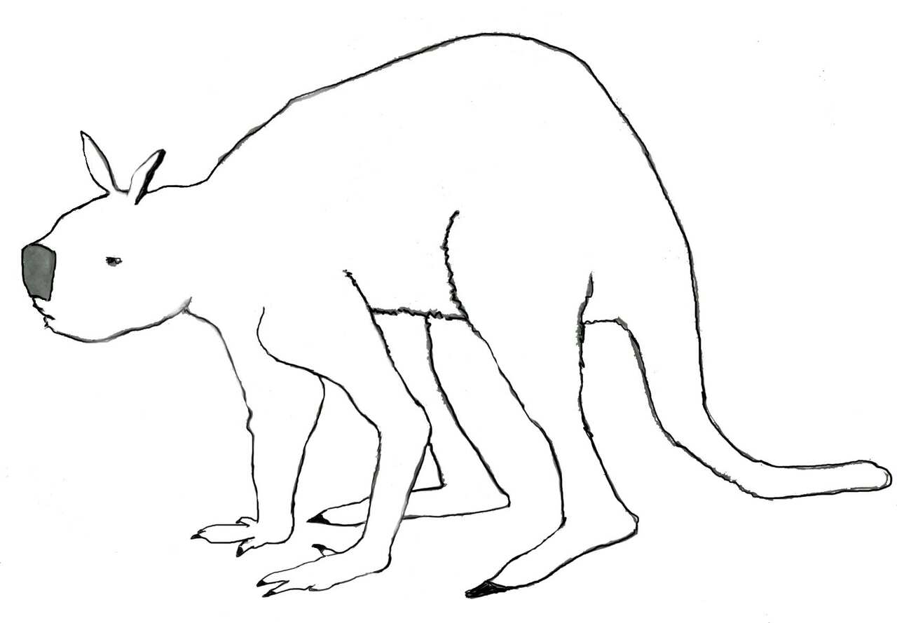 Simosthenurus (canguro gigante estinto) 