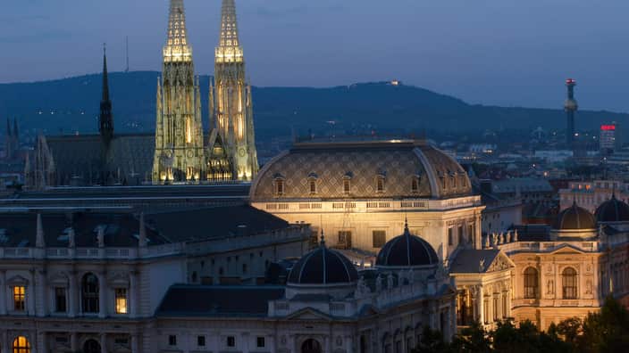 Vienna City Portrait