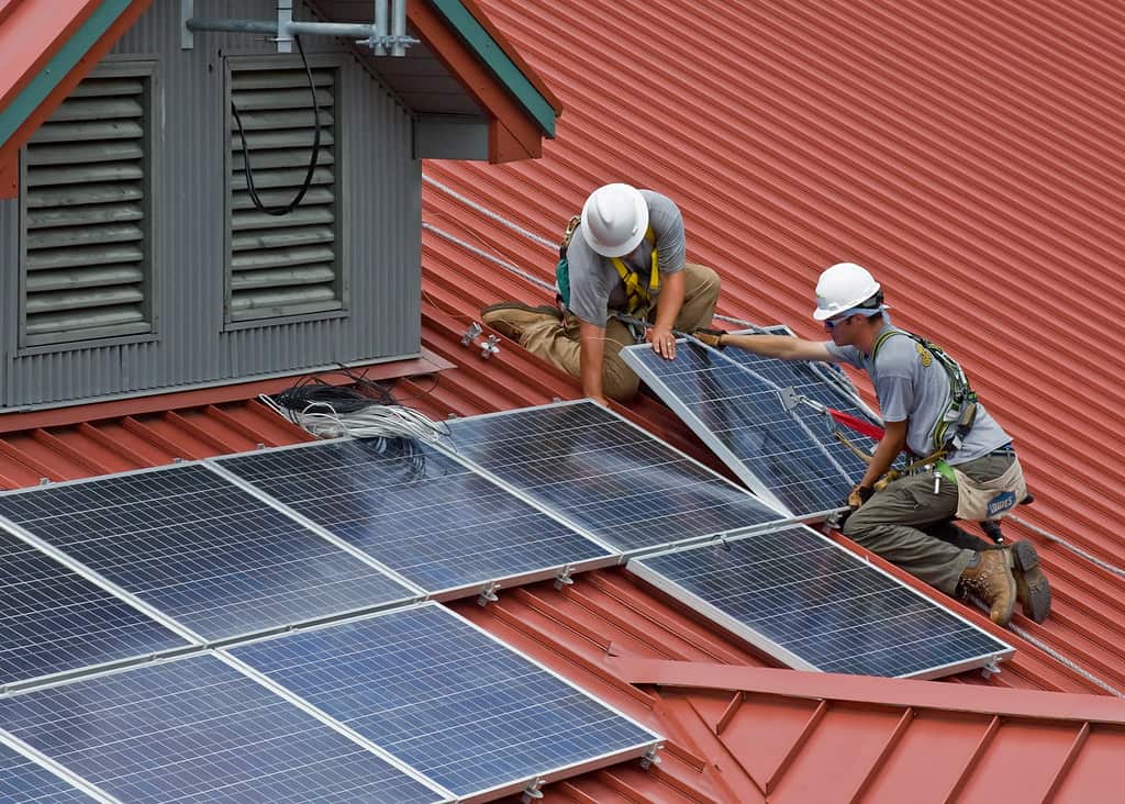 A indústria dos painéis solares poderá trazer mais oportunidades de emprego