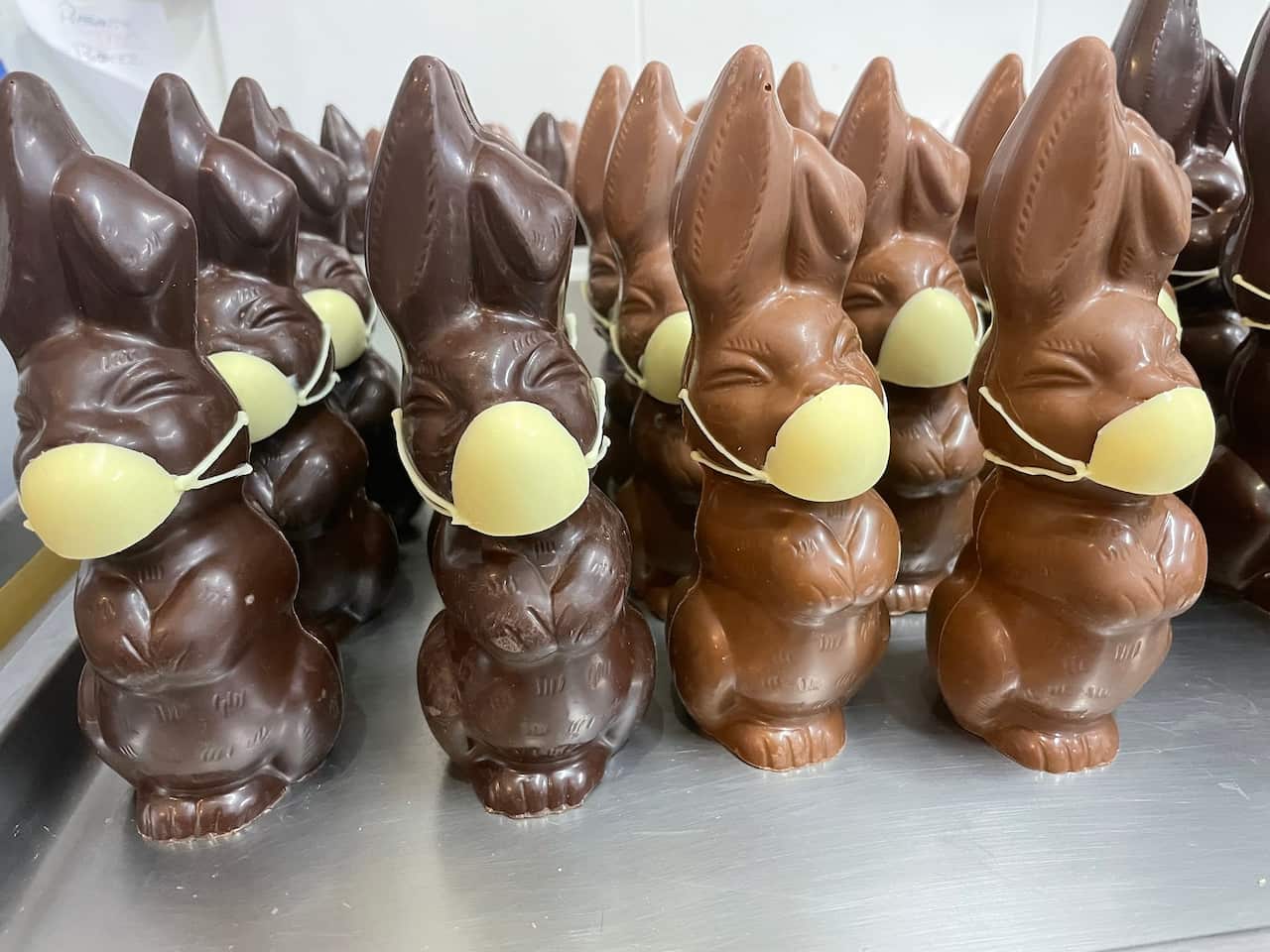 Some of Paul Adams' chocolate COVID Easter bunnies.