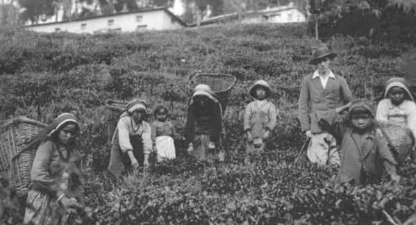 Independence Day Sri LAnka