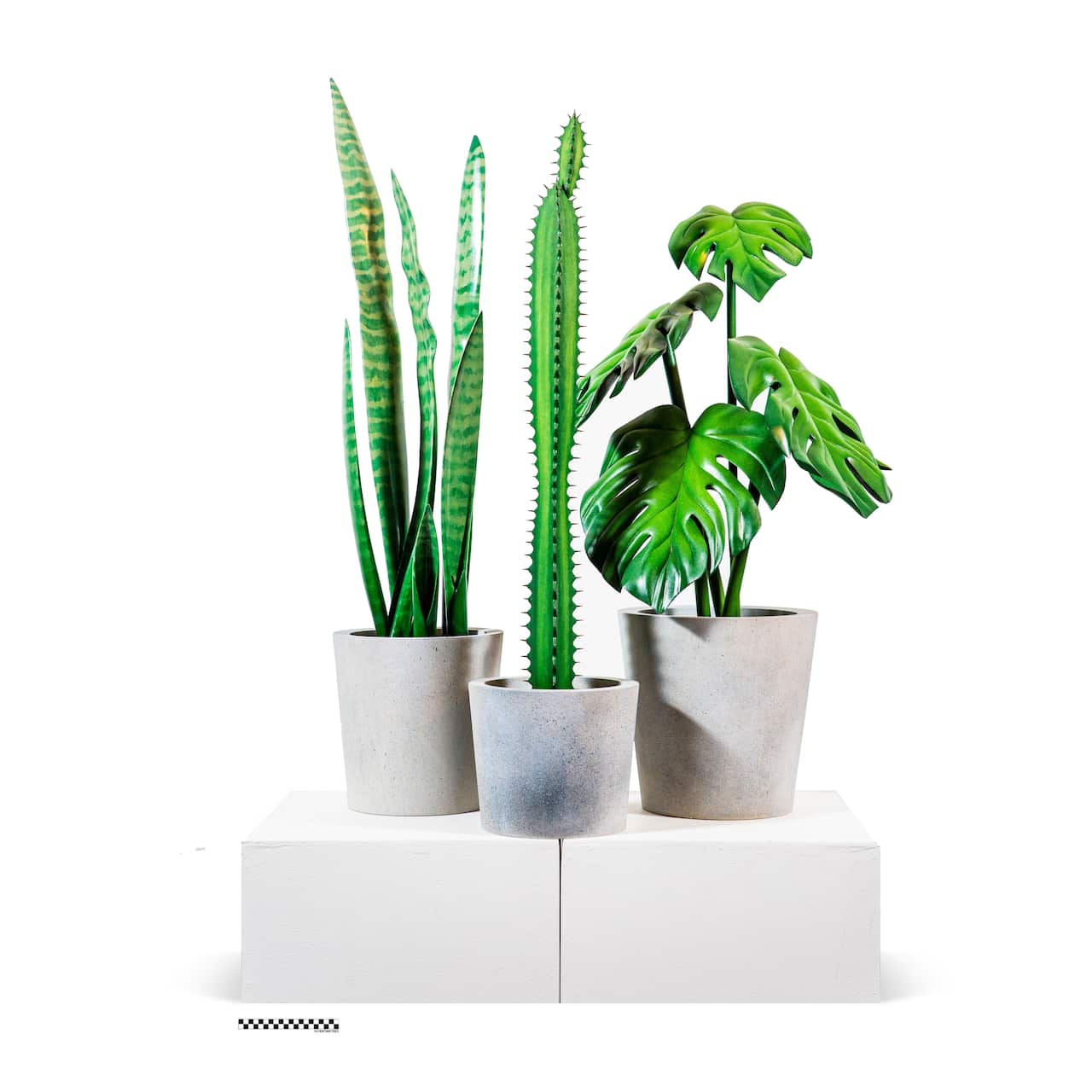 Transplants by Artist Abdul-Rahman Abdullah 