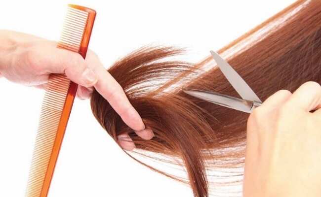 Trim your hair does not help to grow hair faster
