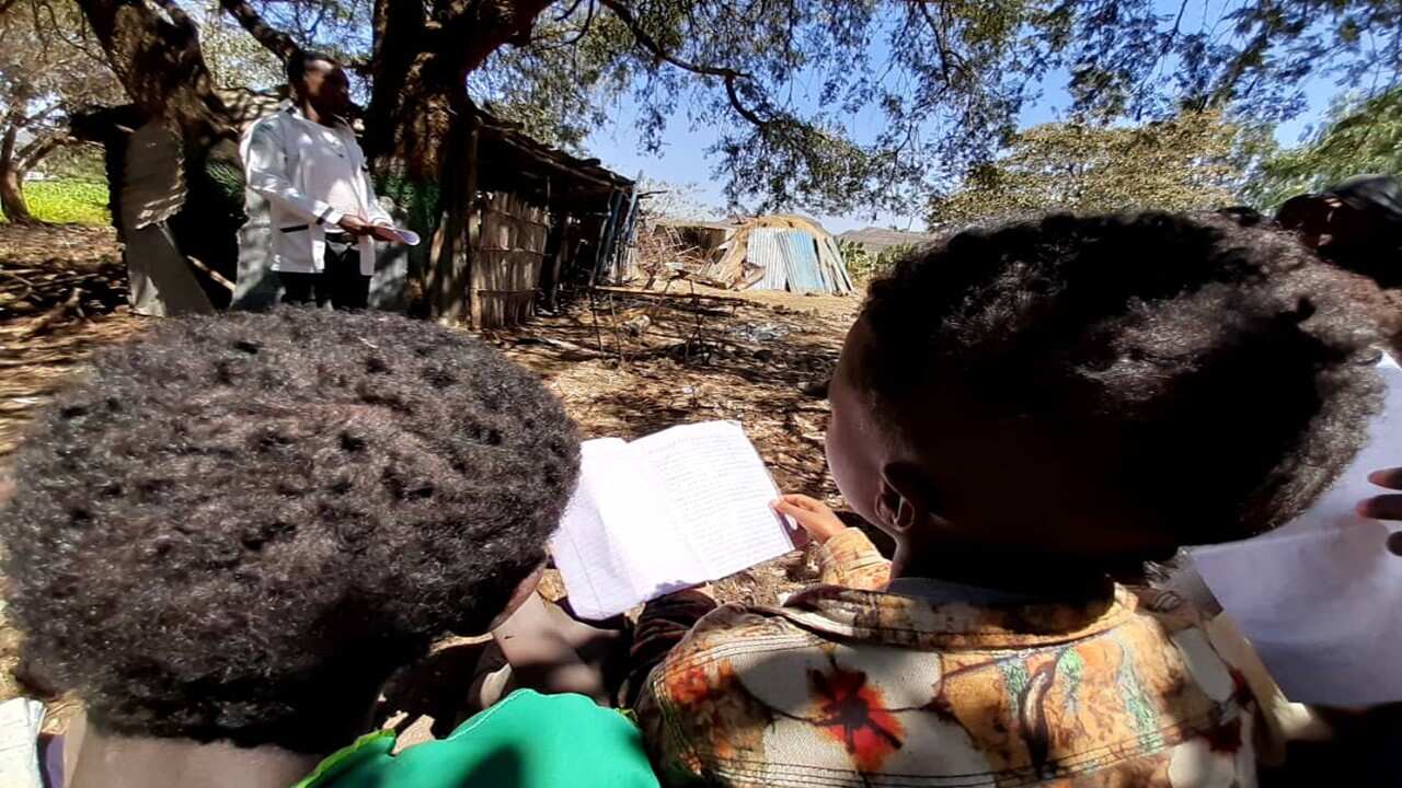 Under tree school