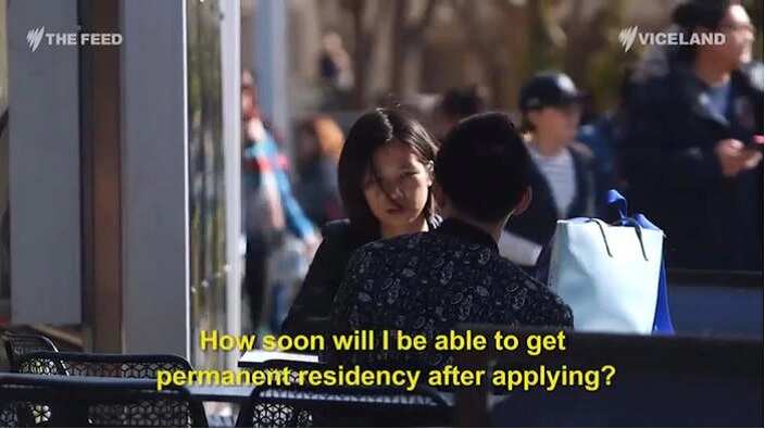 SBS Mandarin's Helen Chen goes undercover, in collaboration with SBS The Feed to investigate Australia's market for fake visa marriages