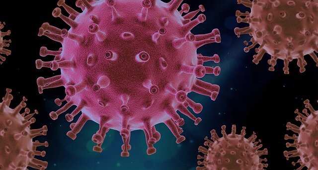 Corona virus