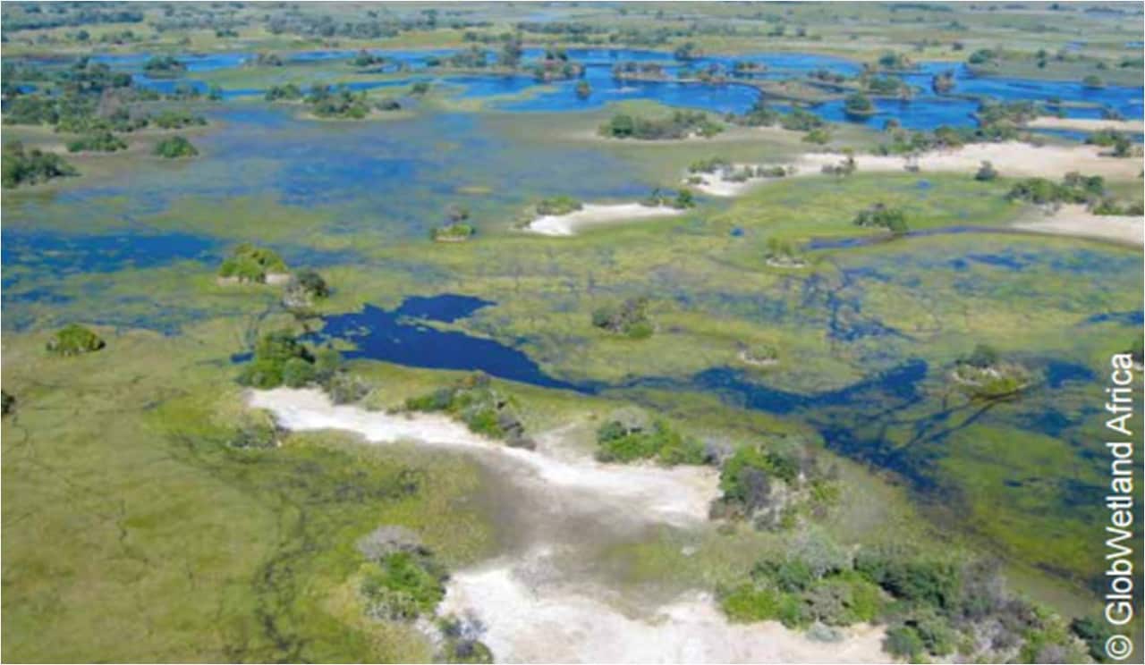 Wetlands