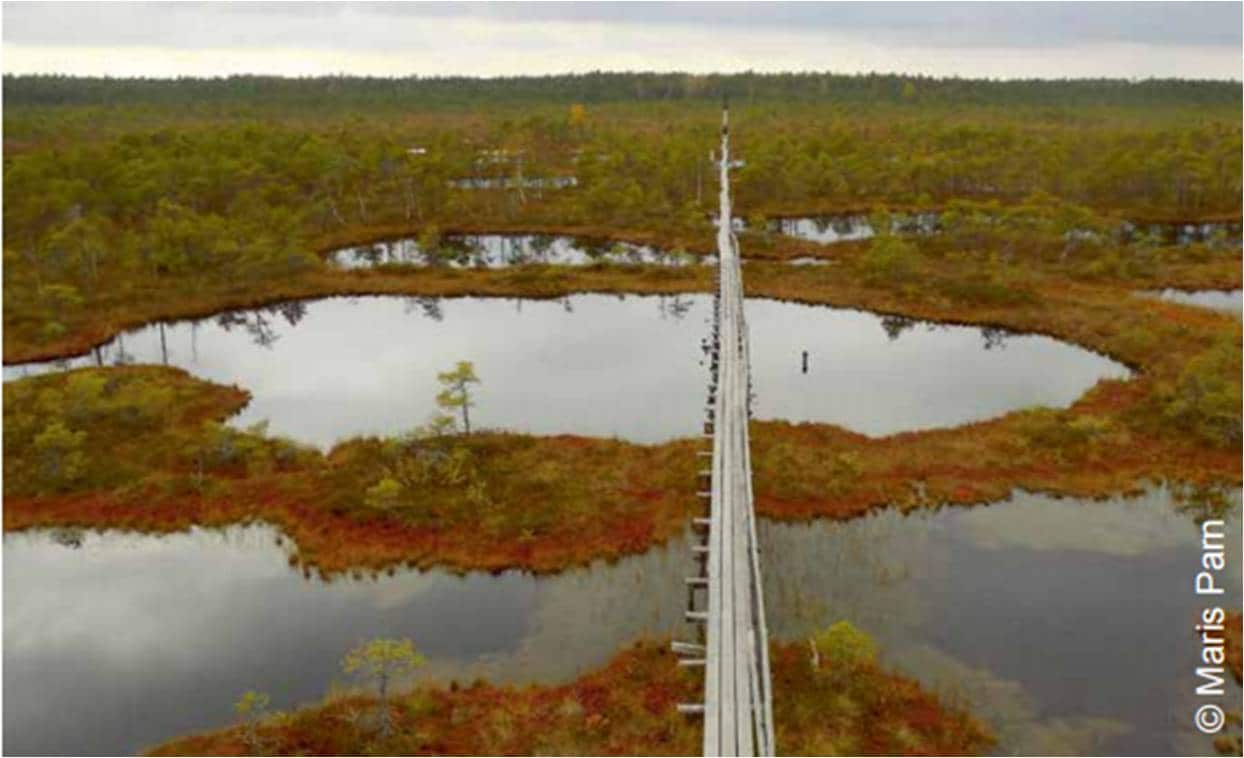 Wetlands