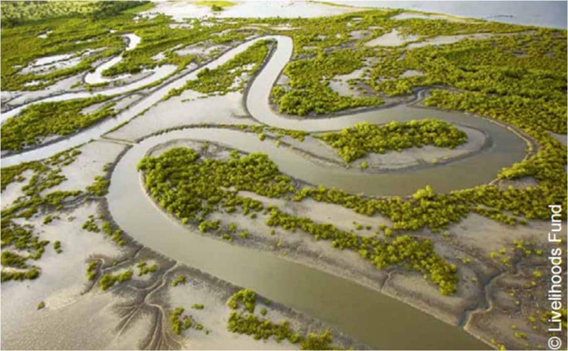 Wetlands