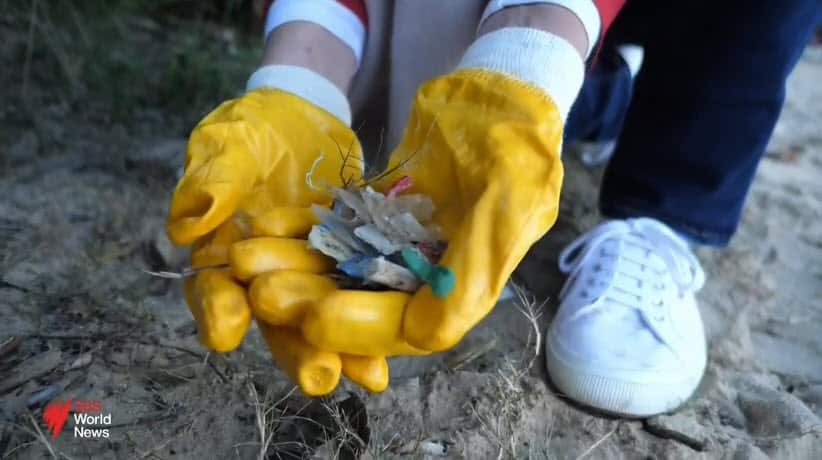 Why Australian beaches are cleaner than a decade ago