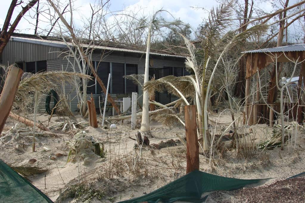 Clely Quaiat Yumbulul