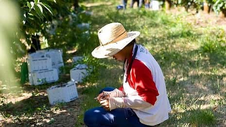Migrant Worker