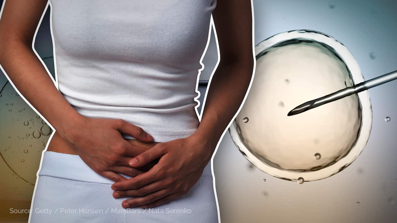 A composite image showing a woman wearing white clothes holding on to her stomach. Next to her is an image of an ovum being pierced by a needle.