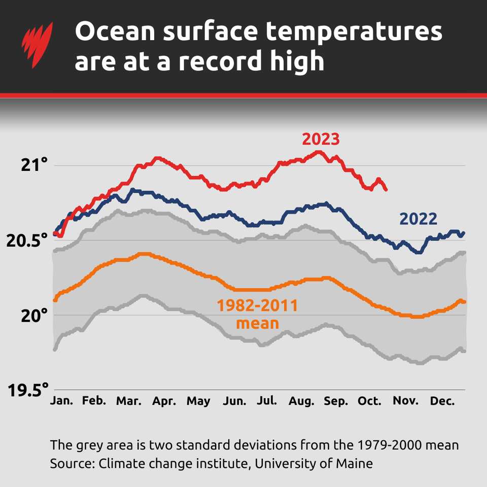 Earth's 'vital signs' are at their worst levels in human history A