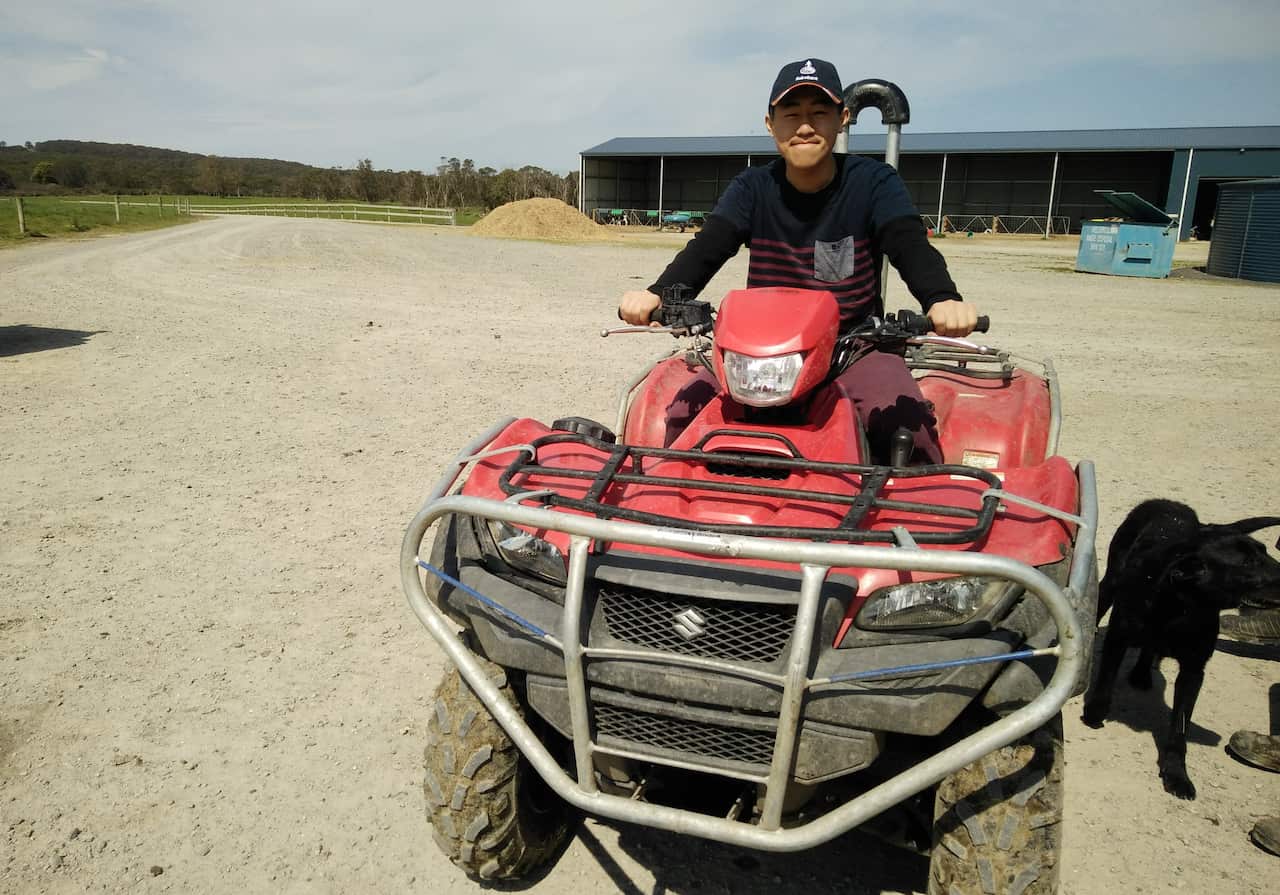 At farm (Chuehue Yang).jpg