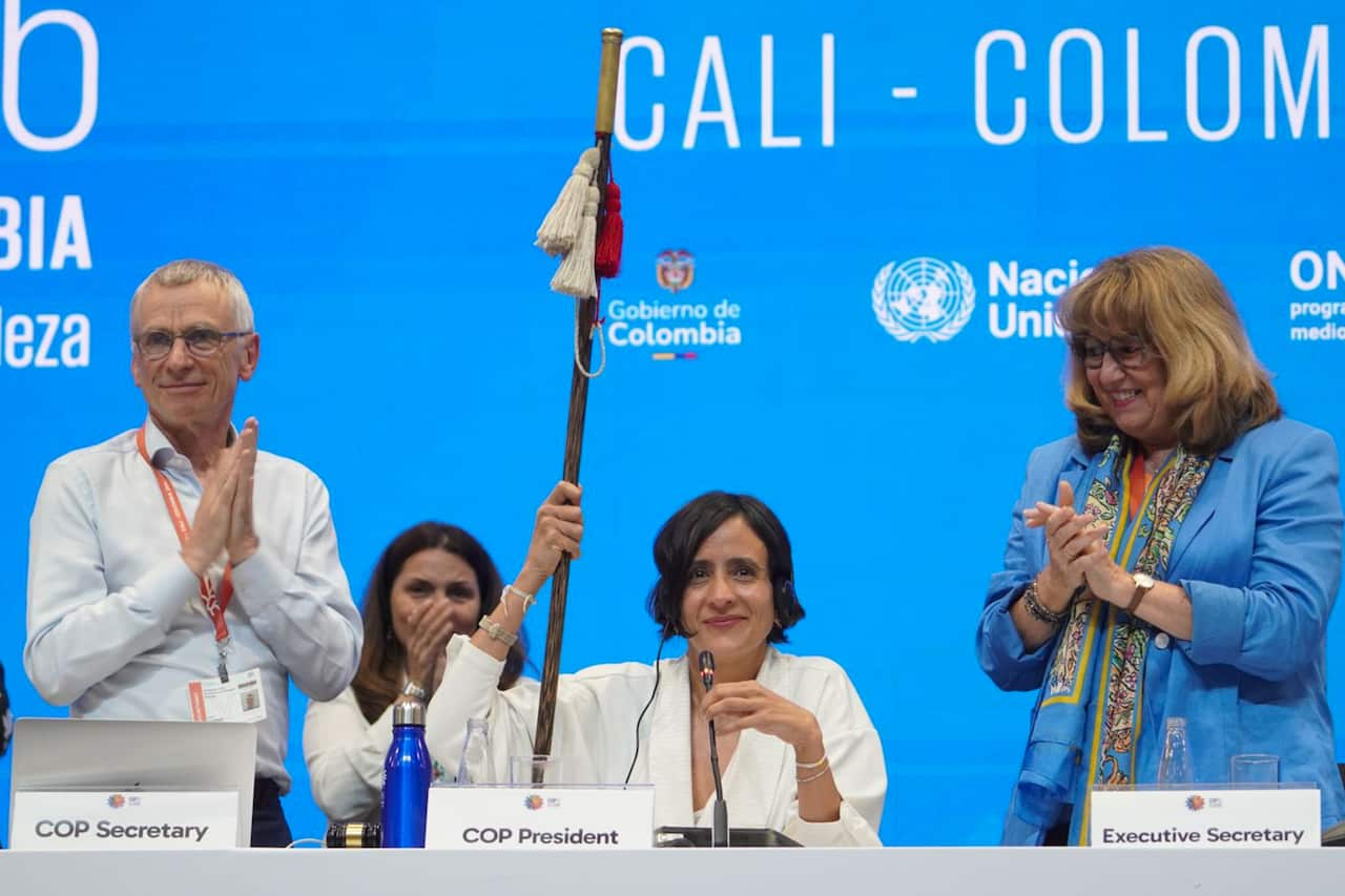 COP16 Conference comes to an ends in Cali