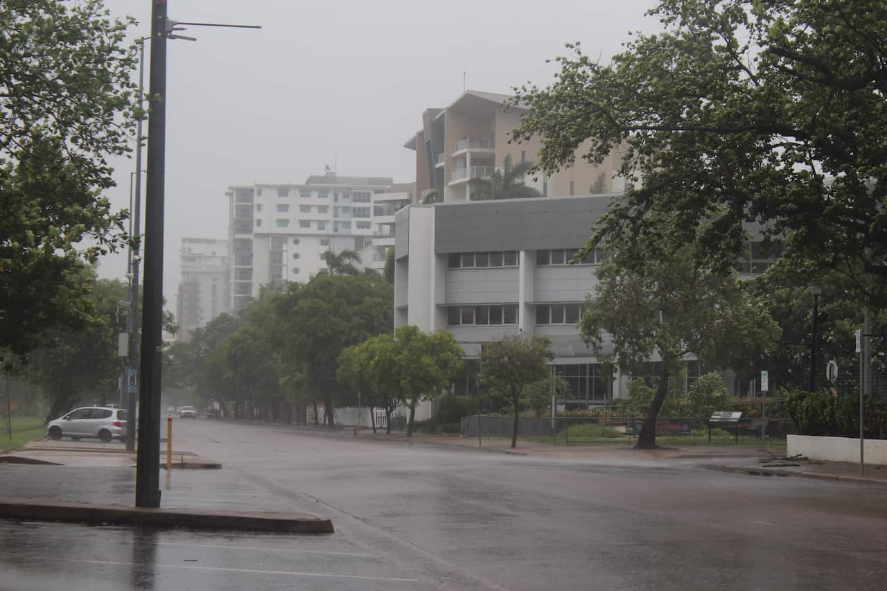 A road lined with trees in rainy conditions