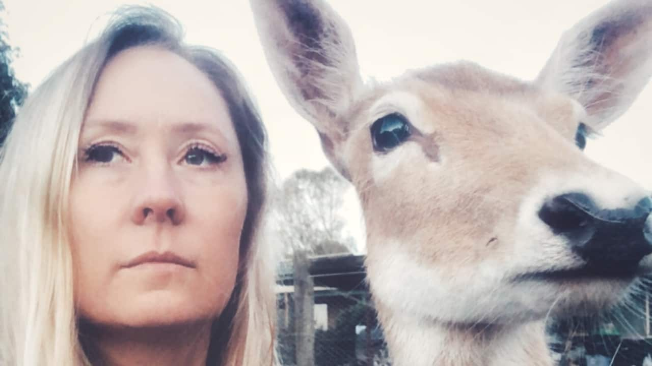 A blonde woman and a deer.