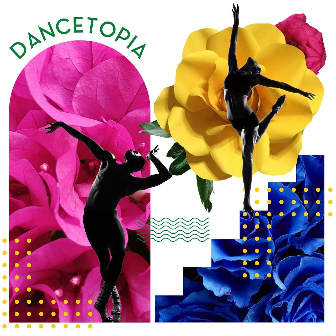 Dancetopia.jpeg