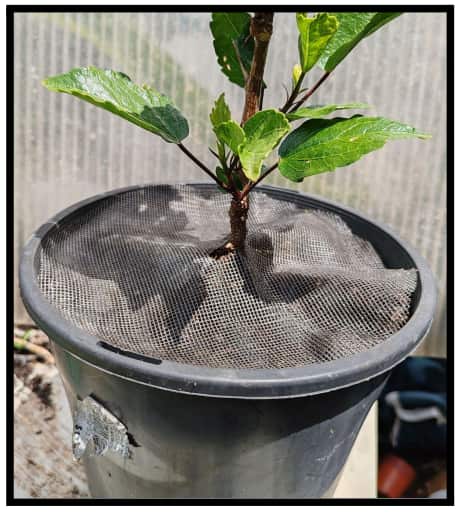 Screenshot 2026-02-13 100428.png