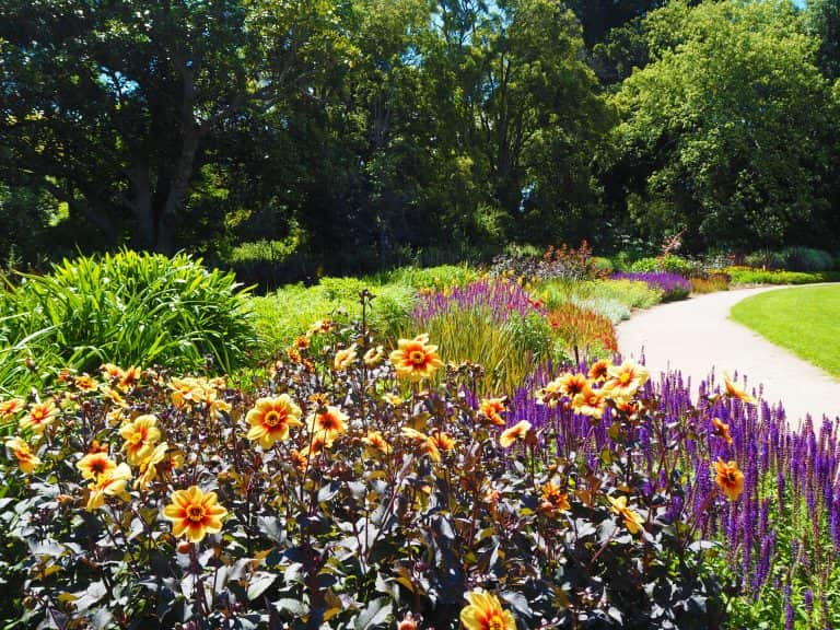 royal botanic garden.jpg